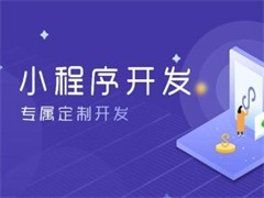 白山app制作