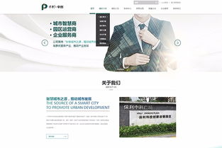 讯博网络 广州网站建设 广州网站设计 广州网站制作 广州网站定制开发 广州小程序开发公司