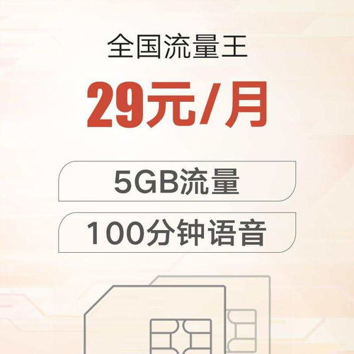 全国流量王 29元 月