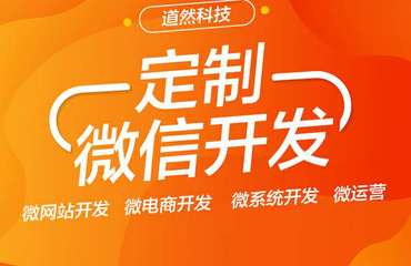 企业定制网站建设,小程序开发,微信开发